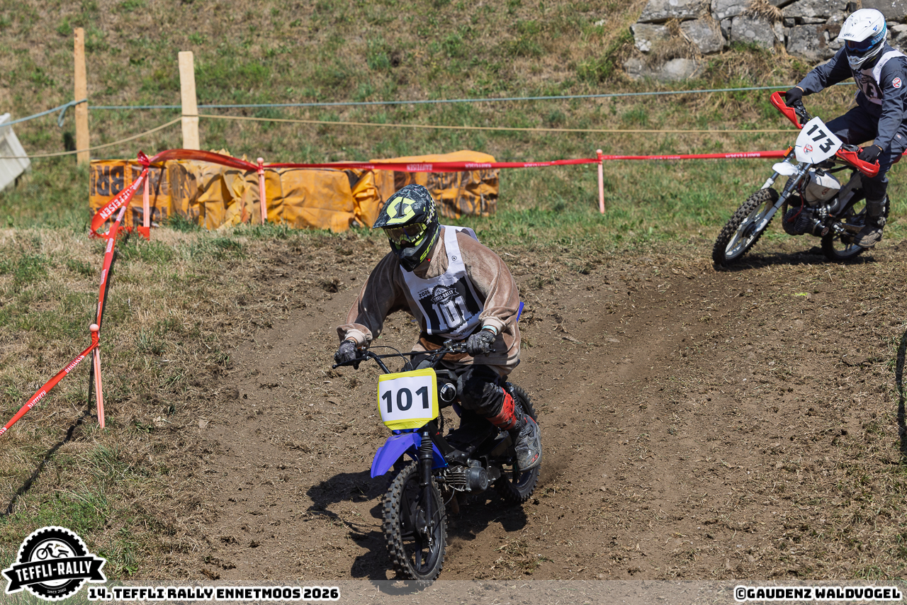 260814 teffly-rally web-4468