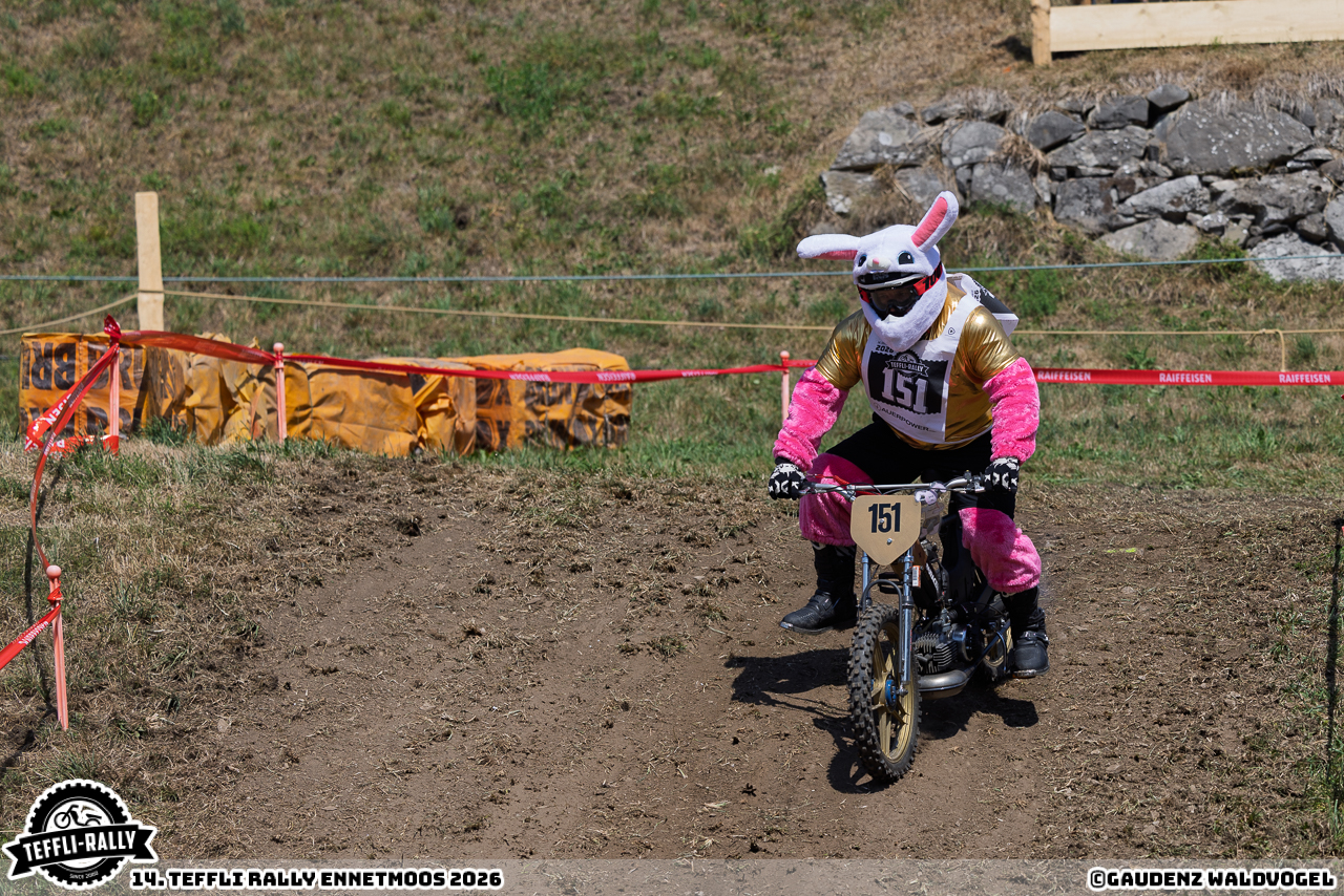 260814 teffly-rally web-4534