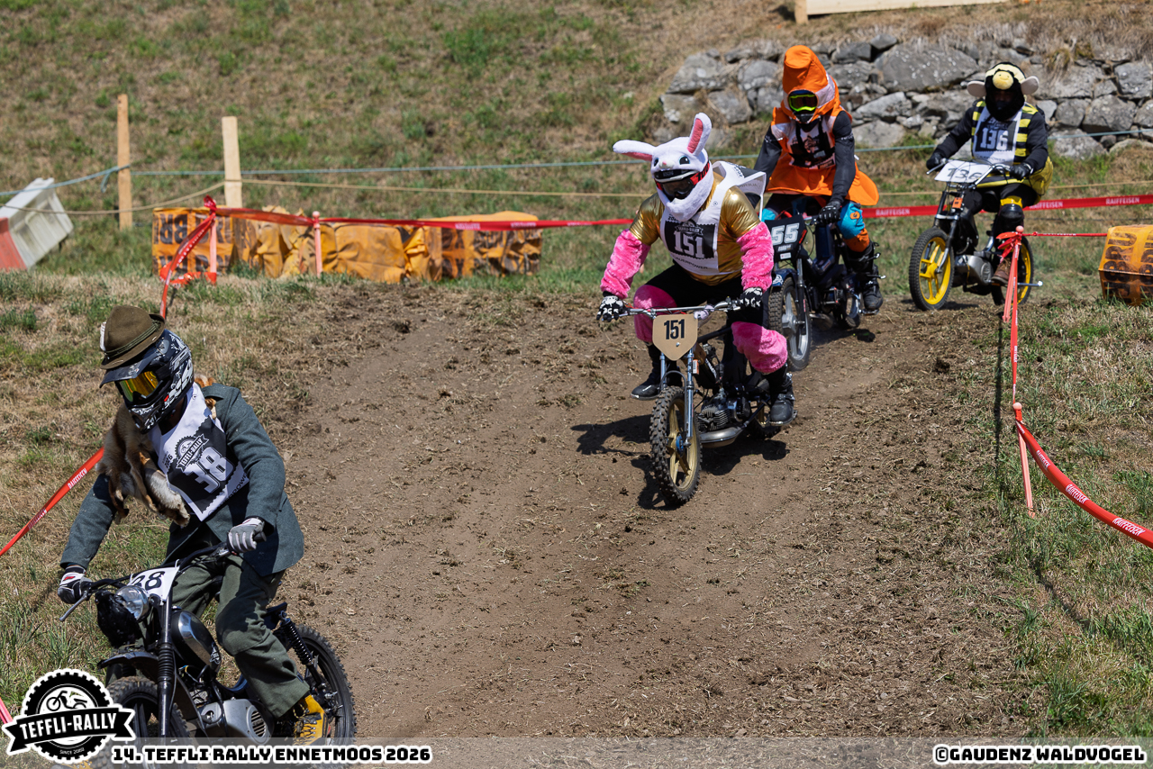 260814 teffly-rally web-4543