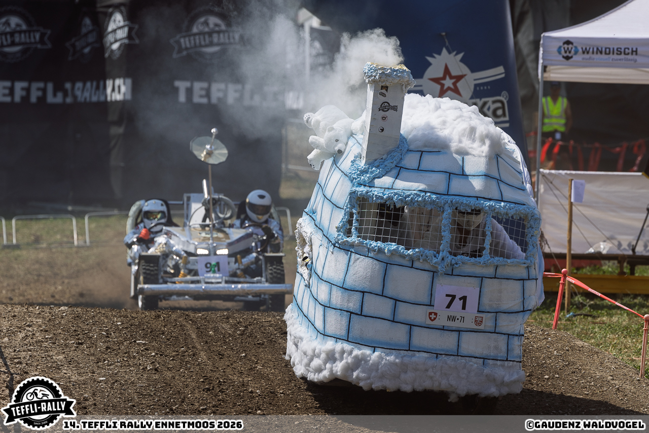 260814 teffly-rally web-4938